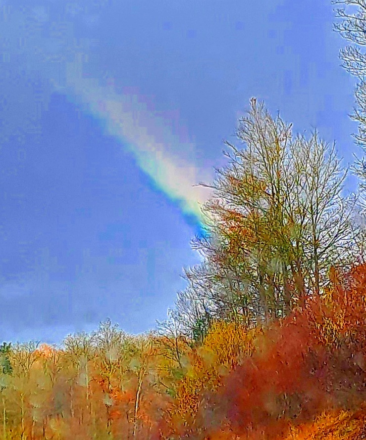Hausvisite Regenbogen
